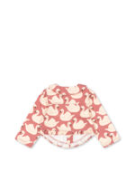 pack ks106128 p10120 2